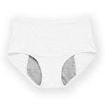 Load image into Gallery viewer, Comfy &amp; Discreet Leakproof Underwear (Lavender 5-Pack)
