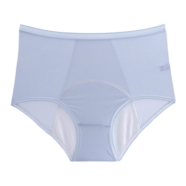 Everdries Leakproof Underwear for Women Incontinence 5PCS, High Waist Leak  Proof Period Protective Panties (L,5Pcs)